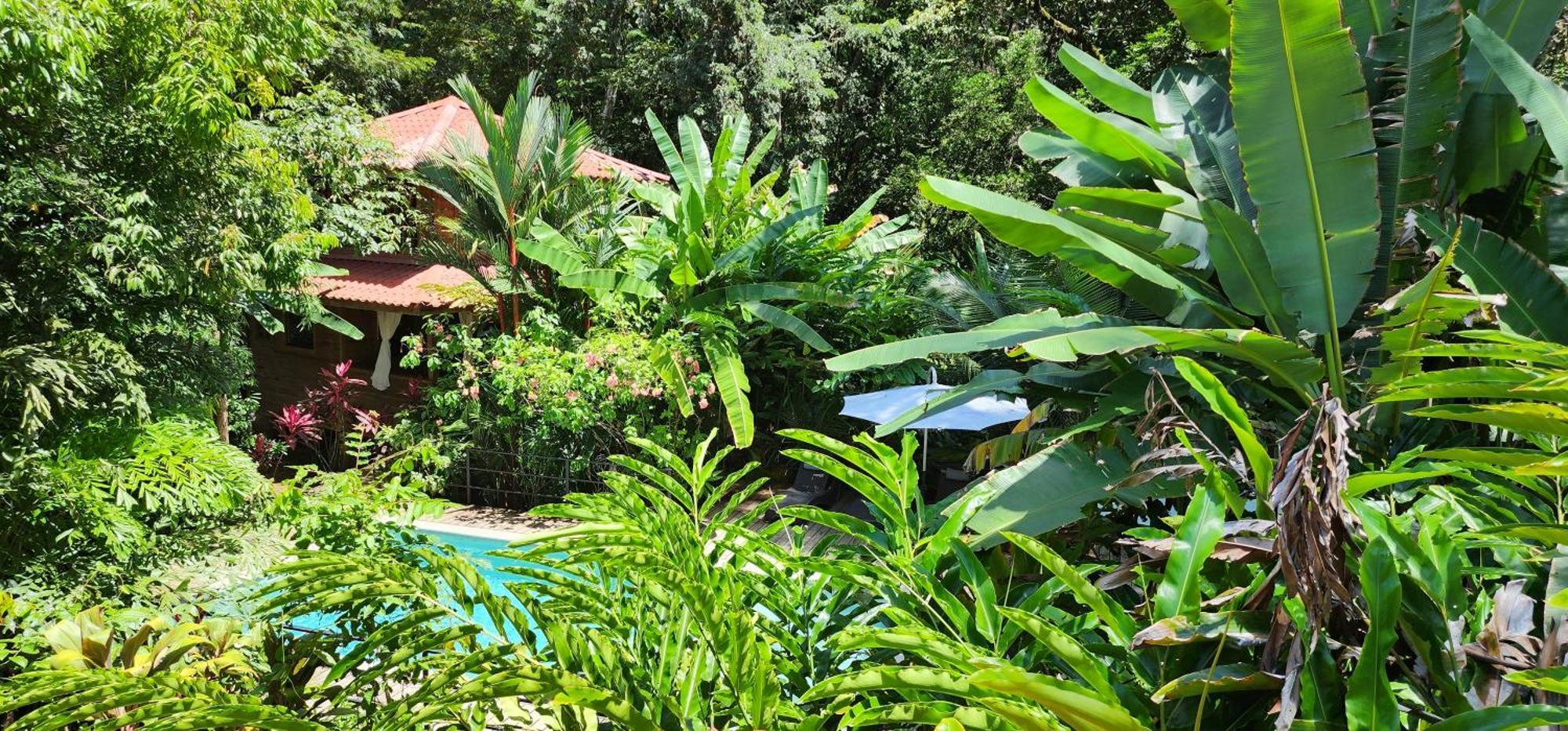 Boutique Hotel Y Spa Tangara Azul Ojochal Eksteriør bilde